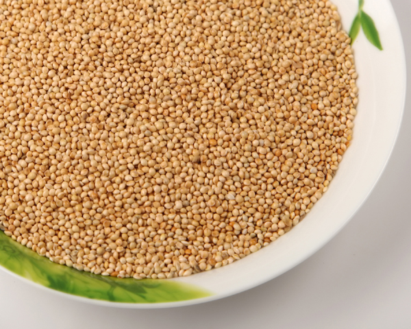 WHITE MILLET