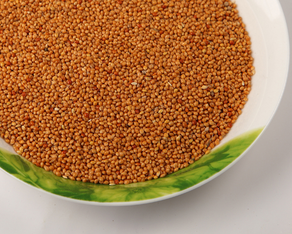 YELLOW MILLET