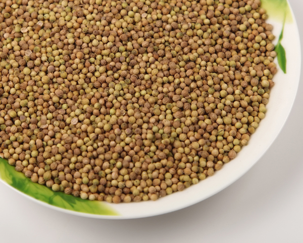 CORIANDER SEEDS