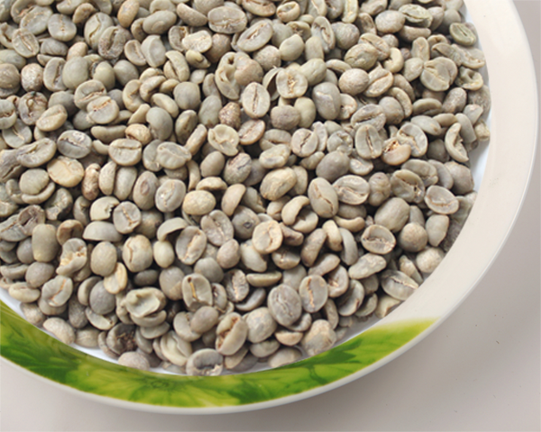 ARABICA COFFEE BEAN